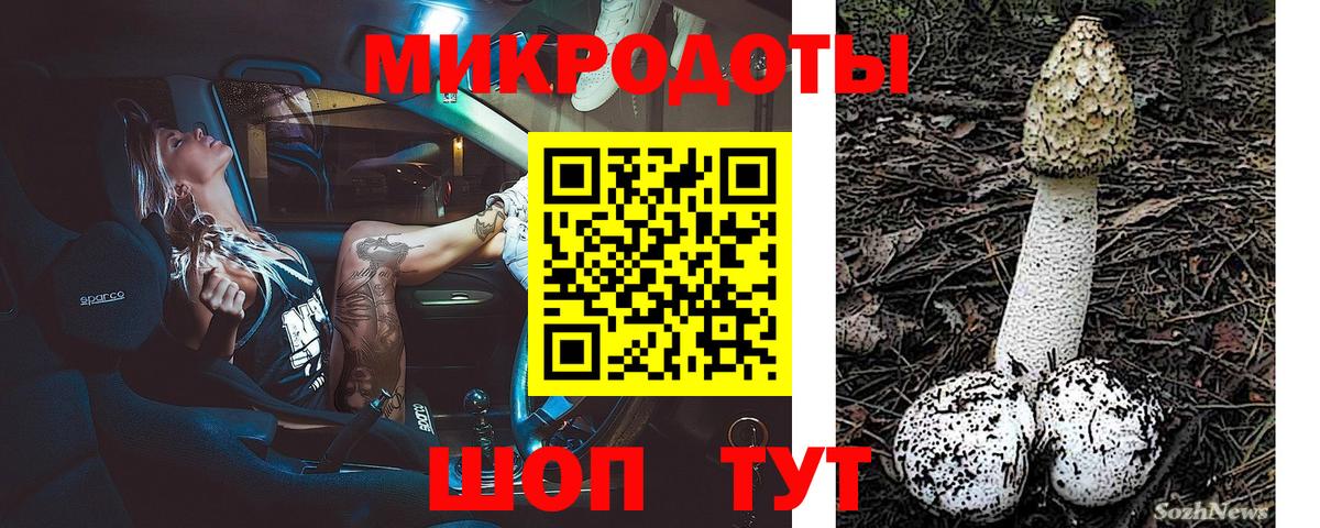 Псилоцибиновые грибы GOLDEN TEACHER  Вход с VPN  Саранск 
